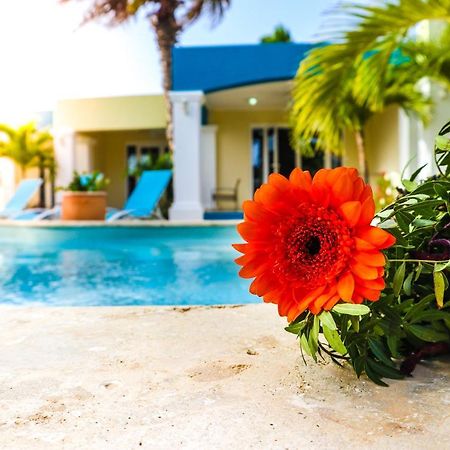 קרלנדיק Aqua Viva Suites מראה חיצוני תמונה